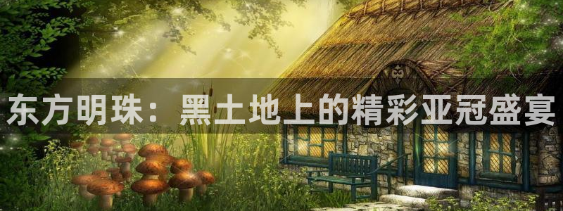 东方明珠：黑土地上的精彩亚冠盛宴