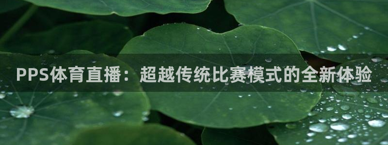 PPS体育直播：超越传统比赛模式的全新体验