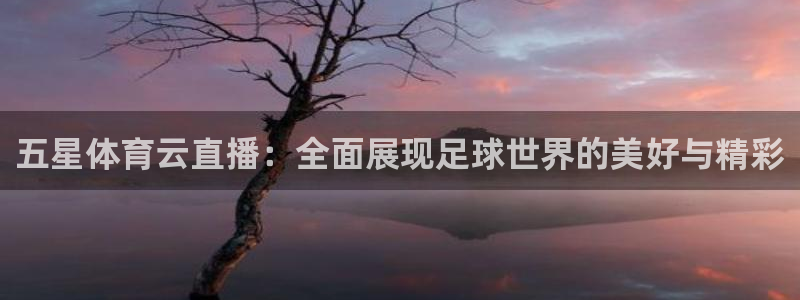 五星体育云直播：全面展现足球世界的美好与精彩