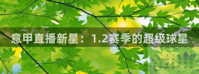 意甲直播新星：1.2赛季的超级球星