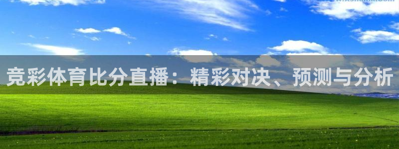 竞彩体育比分直播：精彩对决、预测与分析