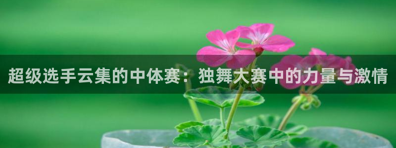 超级选手云集的中体赛：独舞大赛中的力量与激情