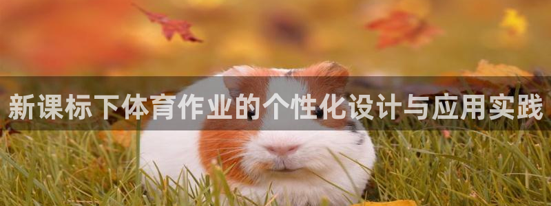 新课标下体育作业的个性化设计与应用实践