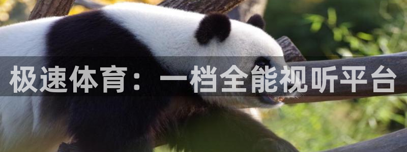 极速体育：一档全能视听平台