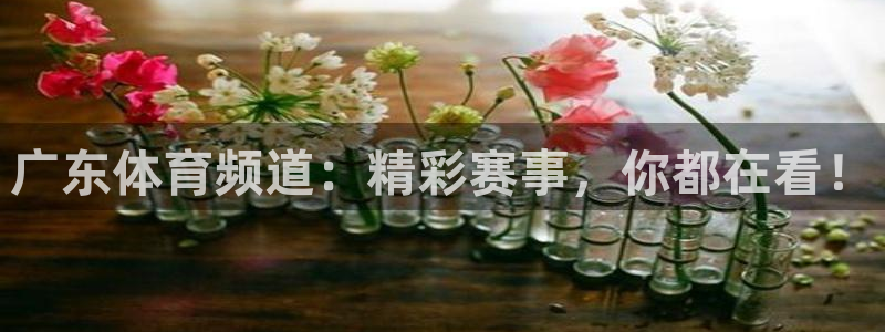 广东体育频道：精彩赛事，你都在看！