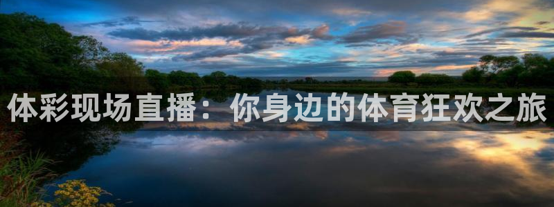 体彩现场直播：你身边的体育狂欢之旅